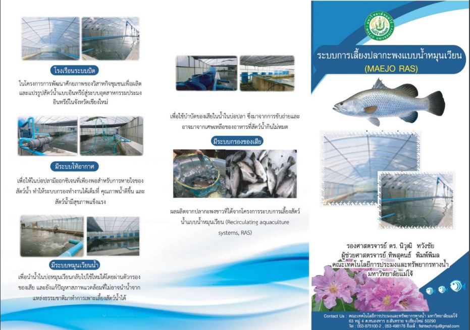 แผ่นพับ ระบบการเลี้ยงปลากระพงแบบน้ำหมุนเวียน