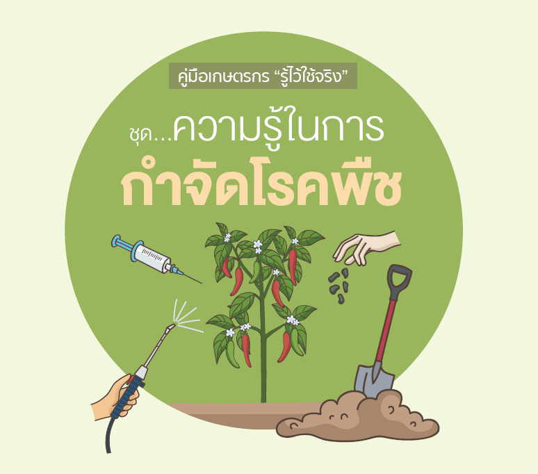 คู่มือเกษตรกรรู้ไวใช้จริงชุด...ความรู้ในการกำจัดโรคพืช
