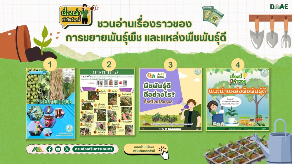 เรื่องราวของการขยายพันธุ์พืช