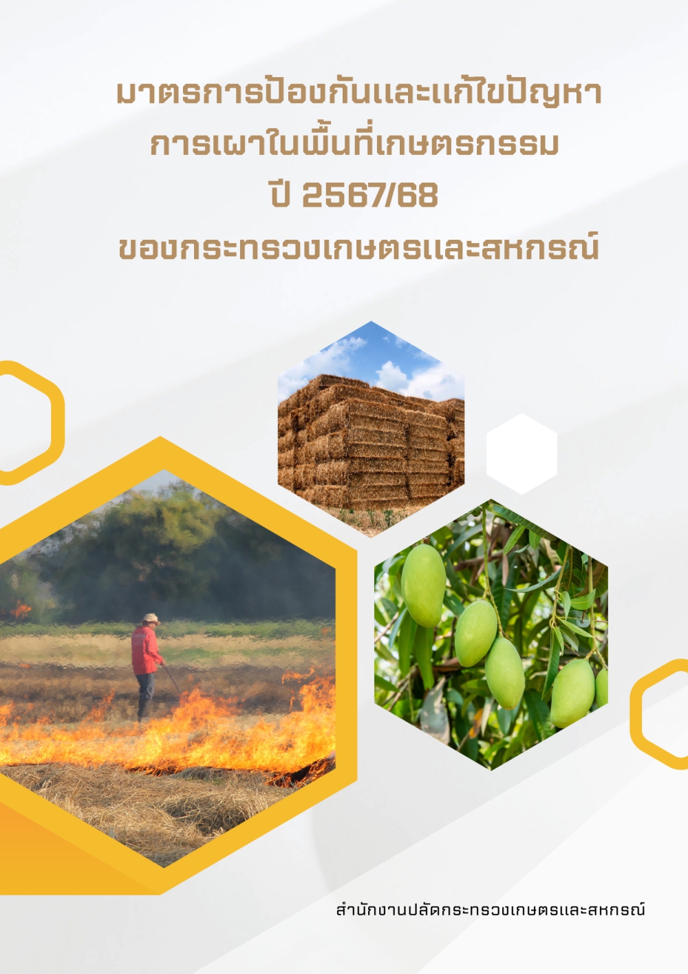มาตรการป้องกันและแก้ไขปัญหาการเผาในพื้นที่เกษตรกรรม