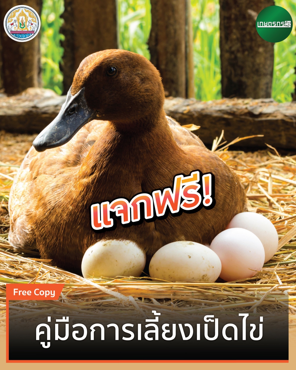 คู่มือ การเลี้ยงเป็ด.