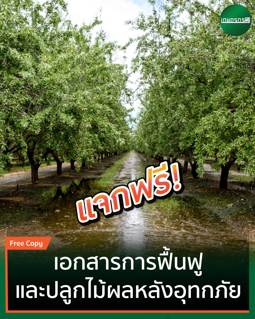 แจกฟรี ! เอกสารการฟื้นฟูและปลูกไม้ผลหลังประสบอุทกภัย