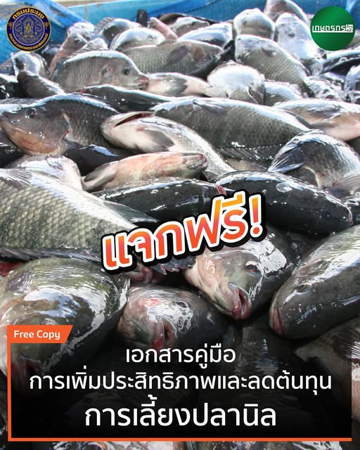 แจกฟรีเอกสารคู่มือการเพิ่มประสิทธิภาพและการลดต้นทุนการเลี้ยงปลานิล