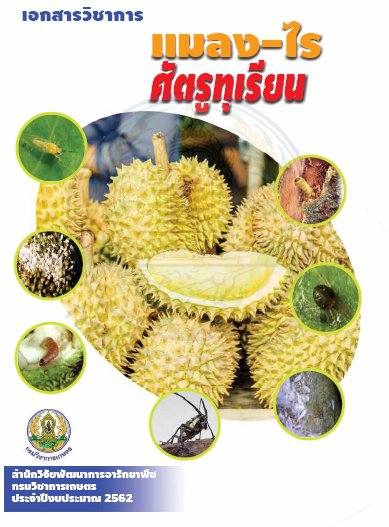 แจกฟรี เอกสารวิชาการ แมลง-ไรศัตรูในทุเรียน