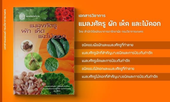 แจกฟรี เอกสารวิชาการ แมลงศัตรู ผัก เห็ด และไม้ดอก
