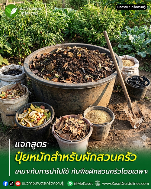 สูตรปุ๋ยหมักสำหรับผักสวนครัว