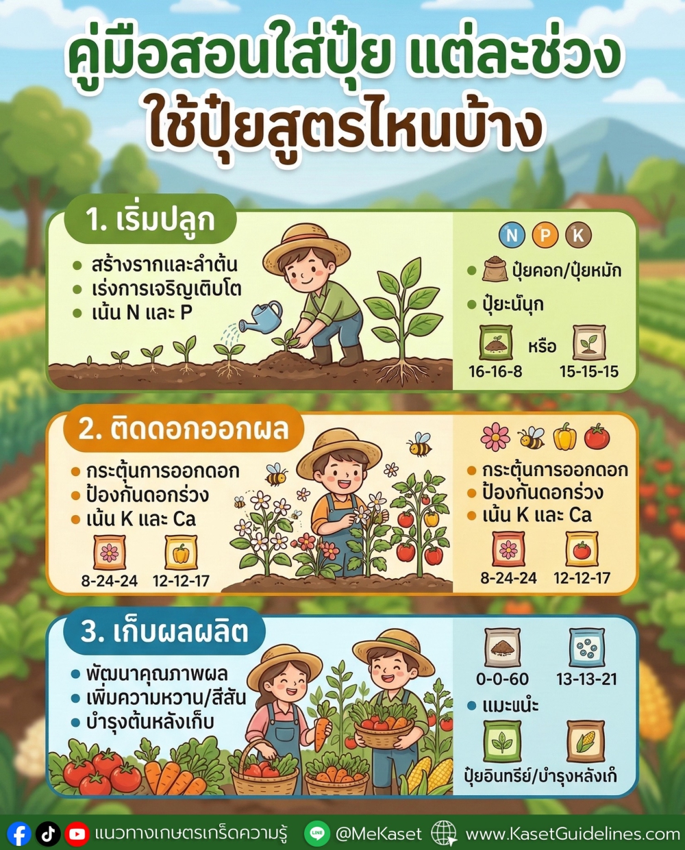 การใส่ปุ๋ยแต่ละช่วง