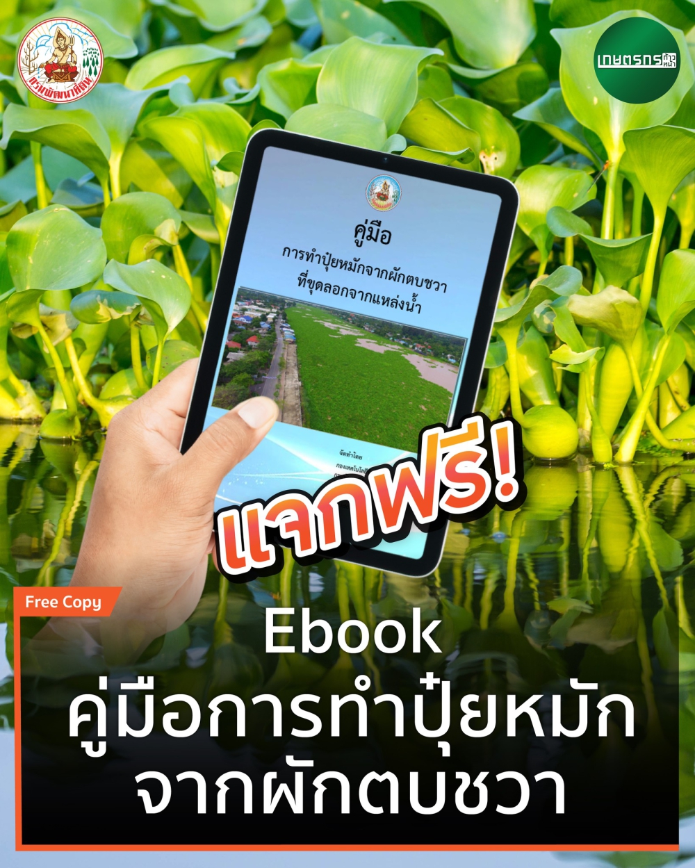 คู่มือการทำปุ๋ยหมักจากผักตบชวา