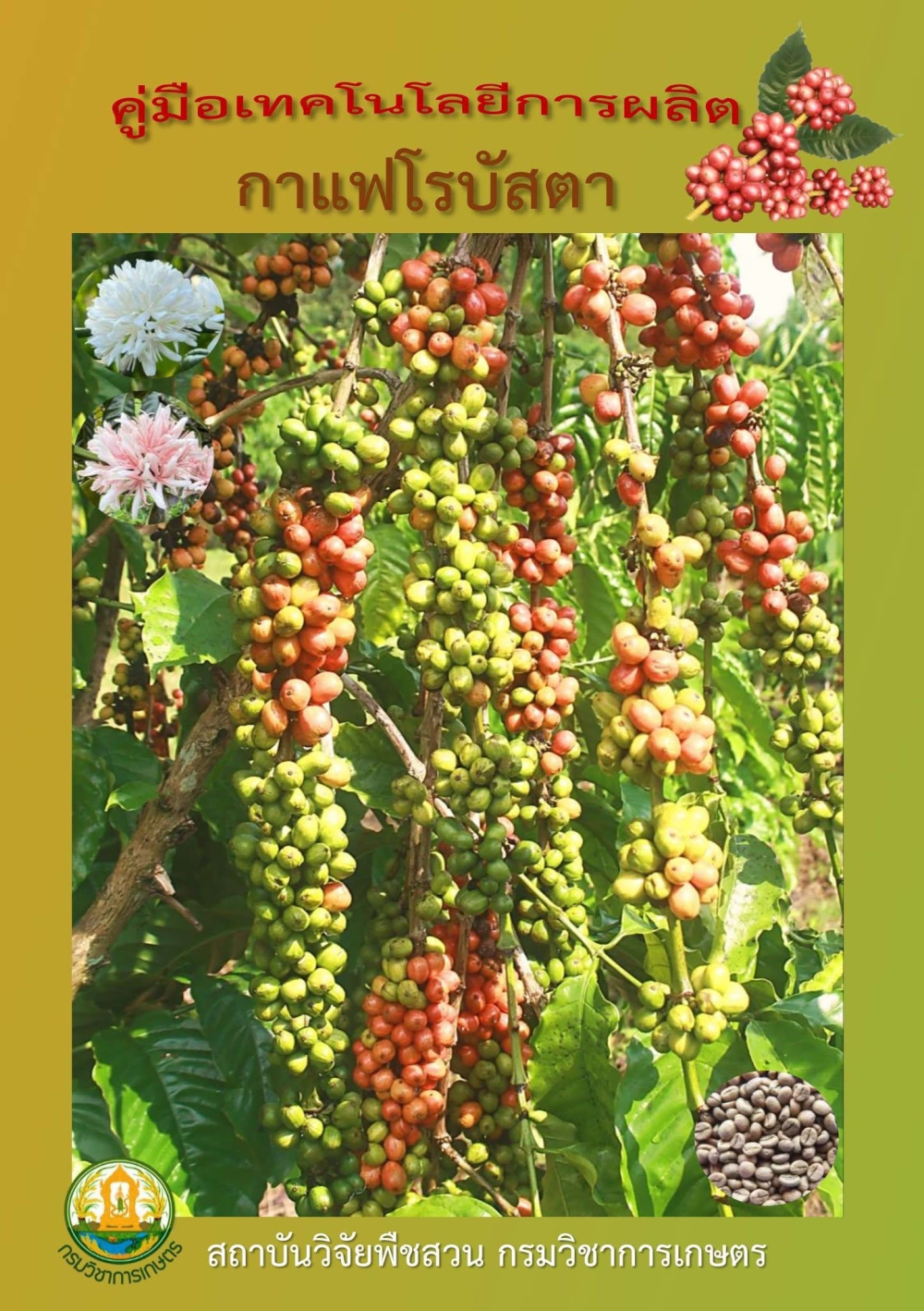 คู่มือเทคโนโลยีการผลิต กาแฟโรบัสตา