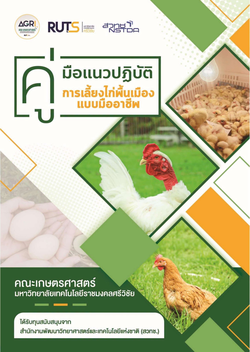 คู่มือแนวปฏิบัติ  การเลี้ยงไก่พื้นเมือง แบบมืออาชีพ