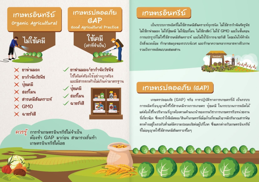 เกษตรอินทรีย์ vs เกษตรปลอดภัย (GAP)