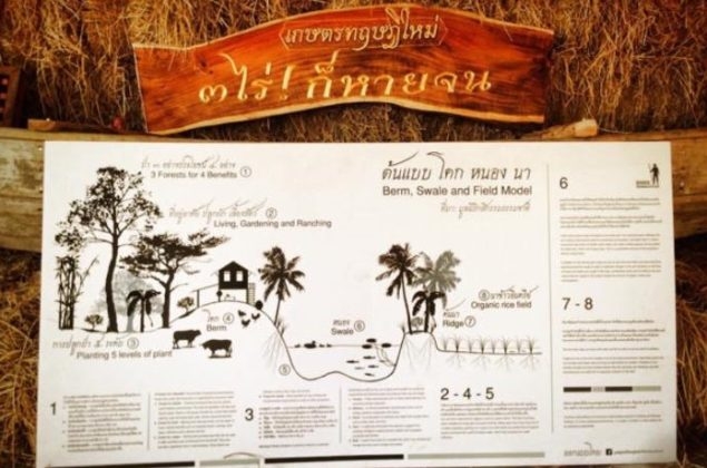 ทำเกษตรตามรอยพ่อไม่ต้องคิดอะไรมาก