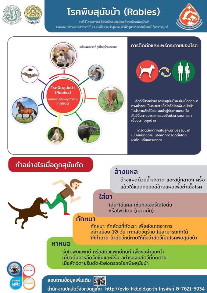 โรคพิษสุนัขบ้า #ทำอย่างไรเมื่อถูกสุนัขกัด . .