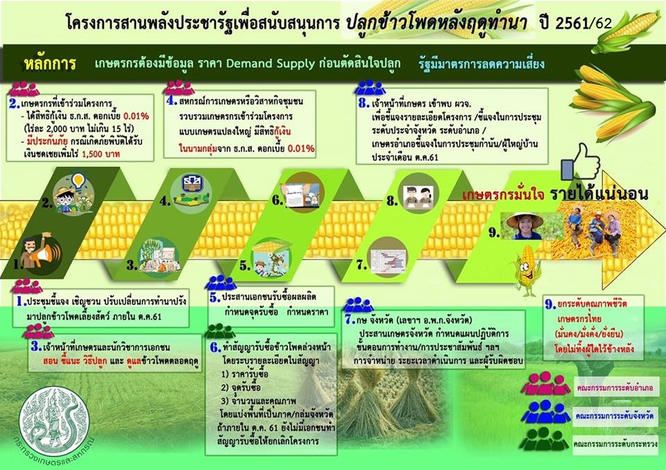 สนับสนุนปลูกข้าวโพดหลังฤดูการทำนา