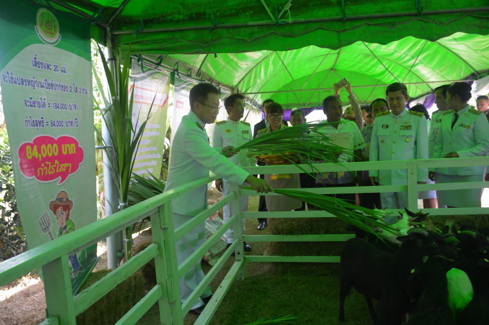 พิธีรับมอบแพะพระราชทาน