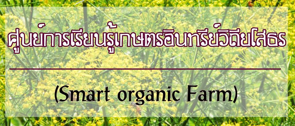 ศูนย์การเรียนรู้เกษตรอินทรีย์วิถียโสธร (Smart Organic Farm)