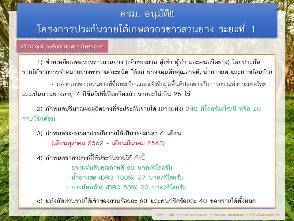 ครม.อนุมัติแล้ว!!!โครงการประกันรายได้เกษตรกรชาวสวนยาง
