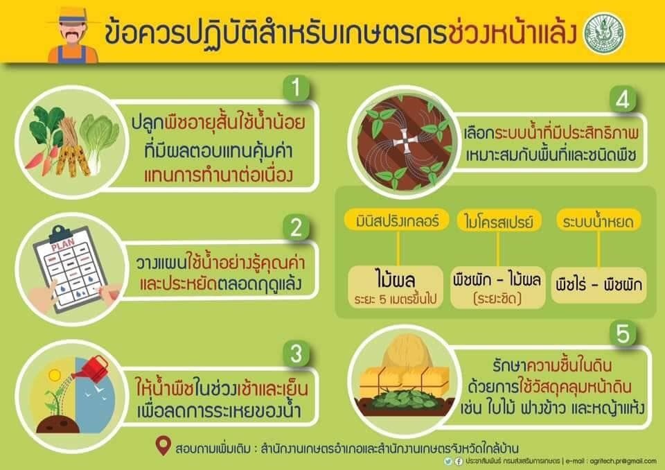 คำแนะนำในการดูแลรักษาพืชผัก