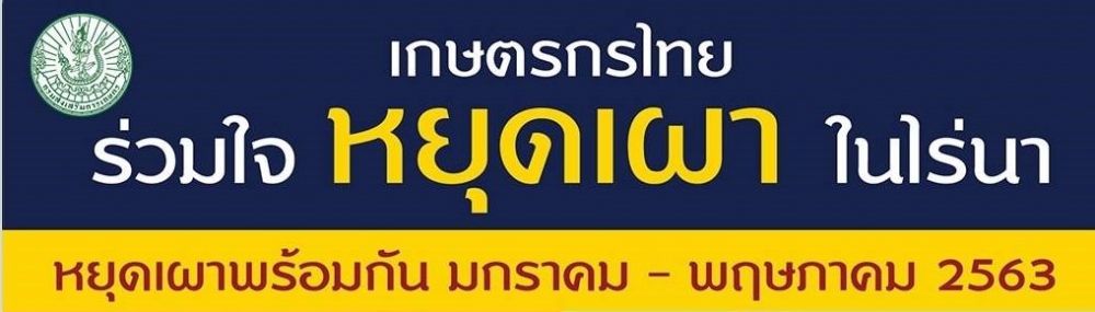 เกษตรกรไทยร่วมใจหยุดเผาในไร่นา