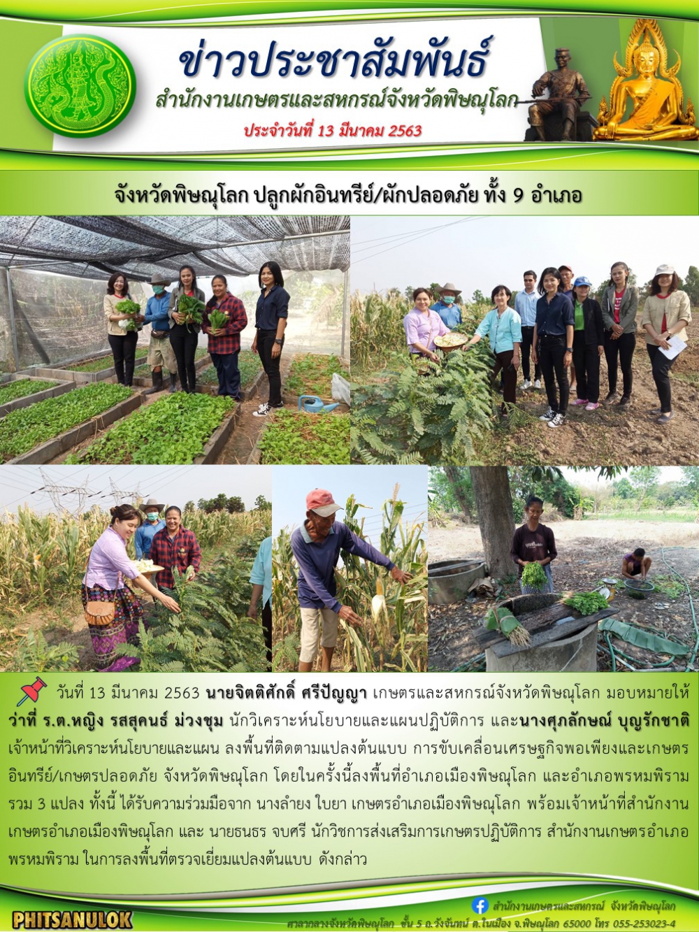 จังหวัดพิษณุโลกปลูกผักอินทรีย์/ผักปลอดภัย