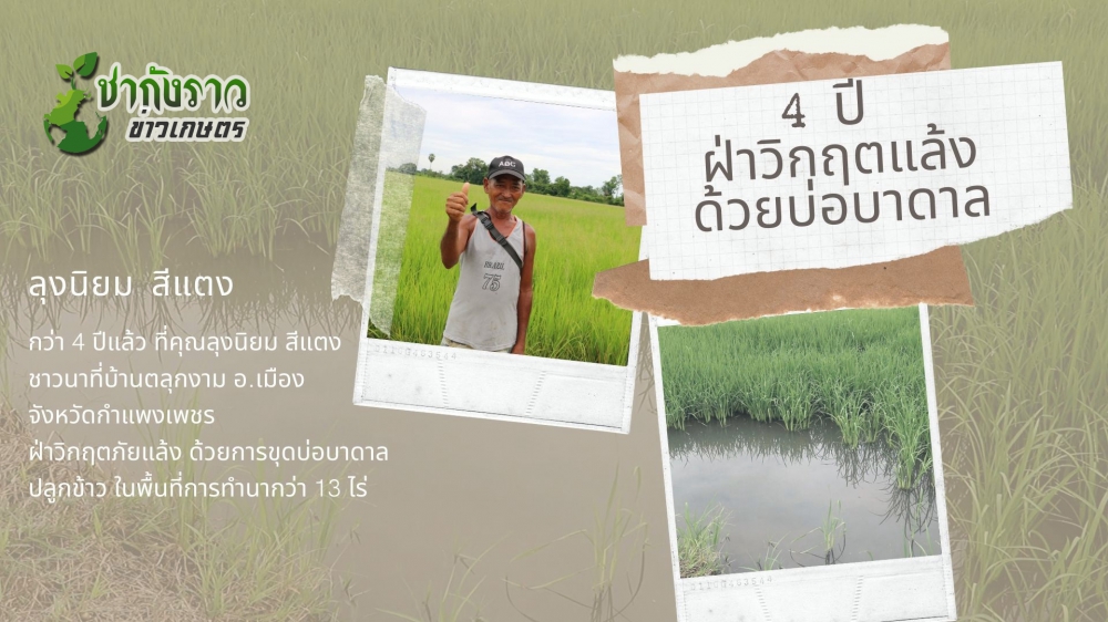 ชาวนากำแพงเพชร ใช้บ่อบาดาลปลูกข้าว สู้แล้ง