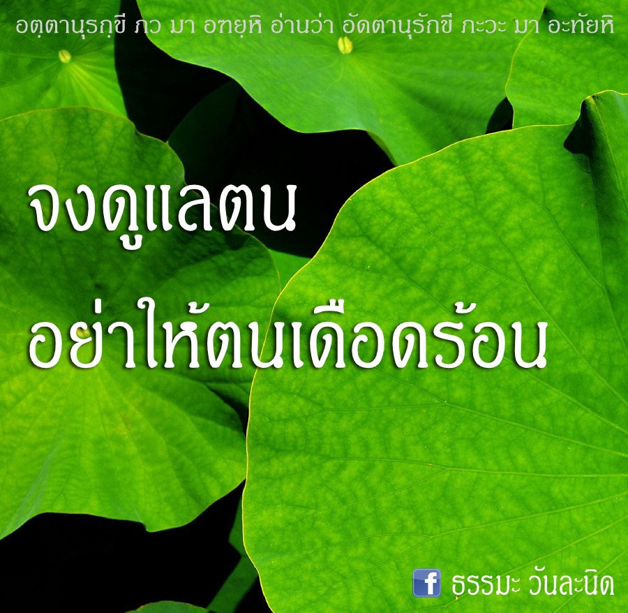 สามัคคีปรองดอง ประจำวันที่ 30 มีนาคม 2563