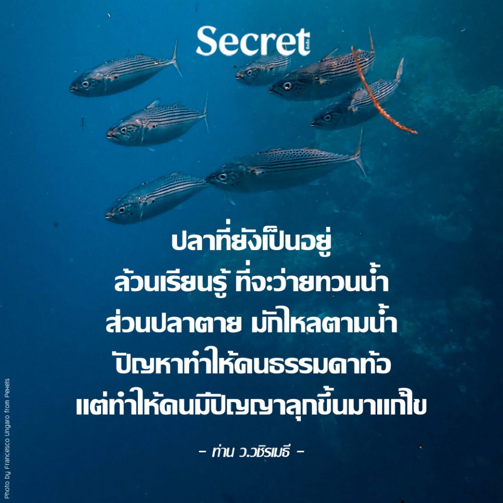 สามัคคีปรองดอง ประจำวันที่ 9 เมษายน 2563