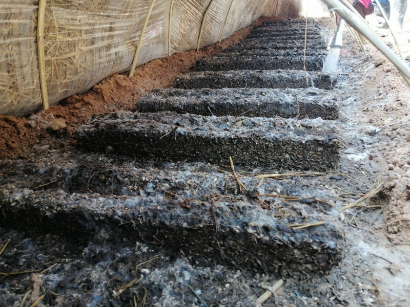 จังหวัดยโสธรฝึกอบรมให้ความรู้เกษตรกรที่เข้าร่วมโครงการสร้างกระแสการรับรู้และการมีส่วนร่วมในการขับเคลื่อนการทำเกษตรปลอดภัย