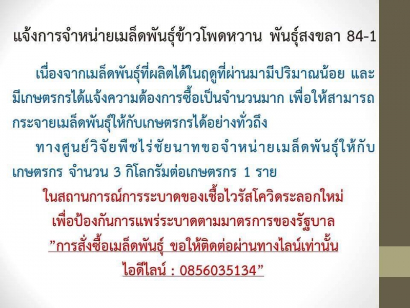 ประชาสัมพันธ์แจ้งการจำหน่ายเมล็ดพันธุ์ข้าวโพดหวาน
