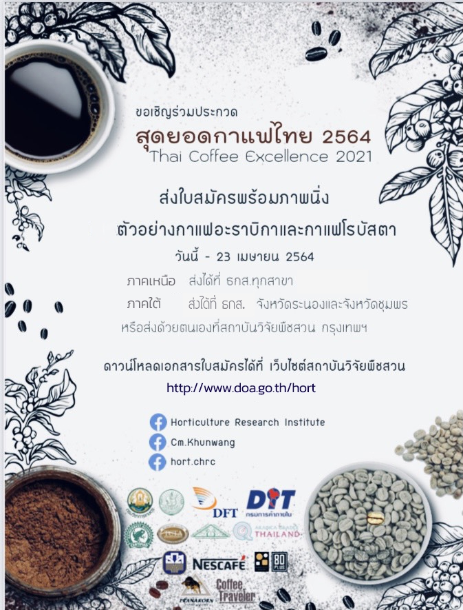 ประชาสัมพันธ์การประกวดเมล็ดกาแฟระดับประเทศไทย