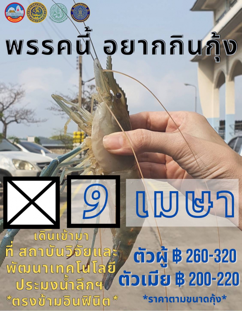 วันที่9เม.ย.นี้ขอเชิญชวนซื้อกุ้งก้ามกรามช่วยเหลือเกษตรกรผู้เลี้ยงกุ้งก้ามกรามจังหวัดนครปฐม