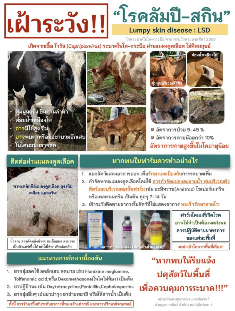 แจ้งเกษตรกรสมาชิกที่มีโคทุกท่าน