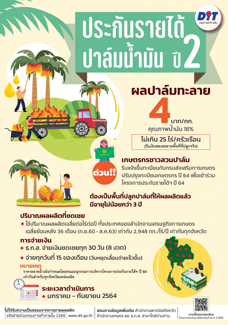 ประกันรายได้ปาล์มน้ำมัน ปี2