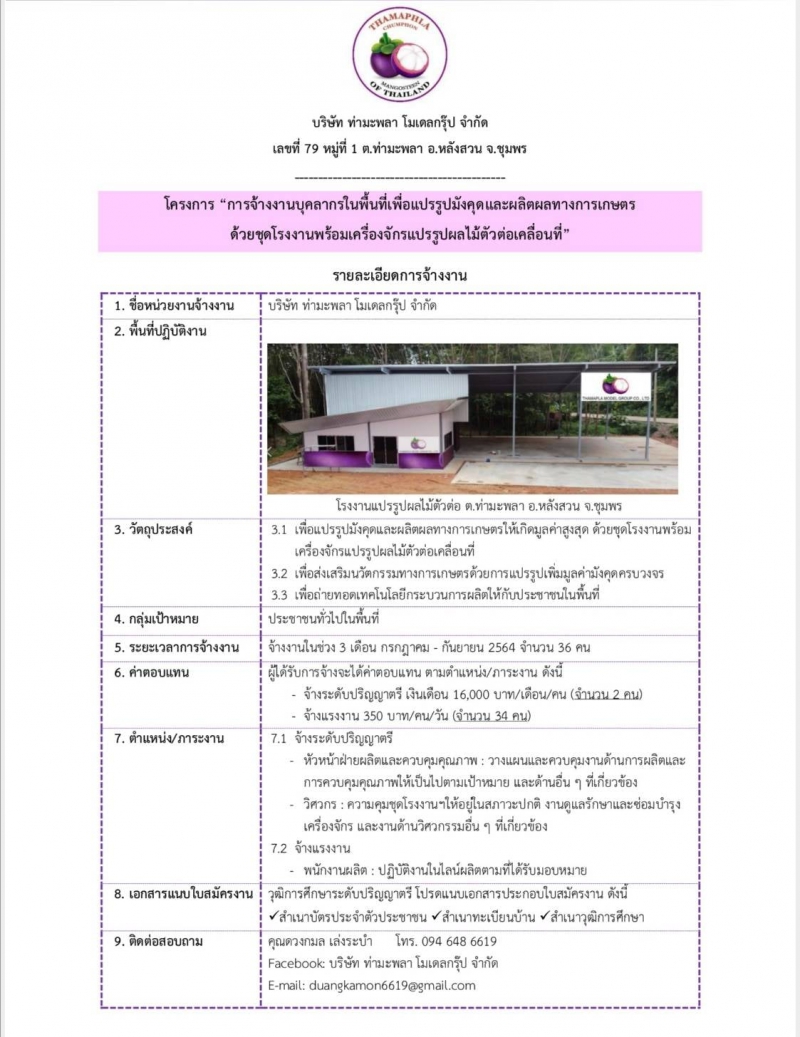 บริษัทท่ามะพลาโมเดลกรุ๊ปจำกัดรับสมัครงาน