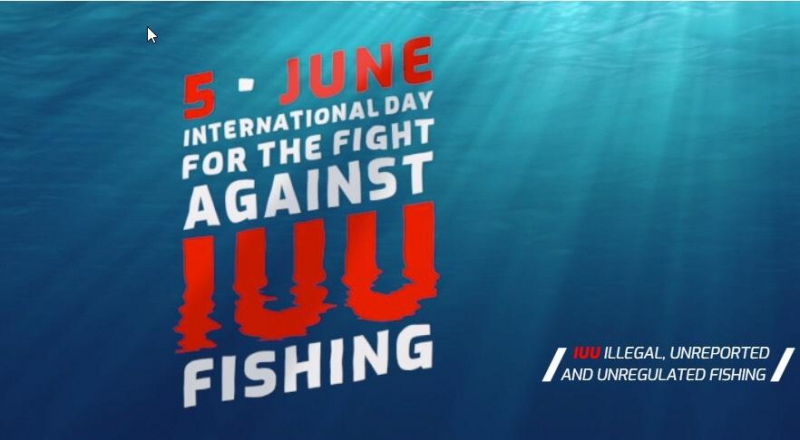 国連食糧農業機関（FAO）と欧州連合（EU）は、 タイの取り組みをIUU漁業の持続可能的解決策モデルとして賞賛