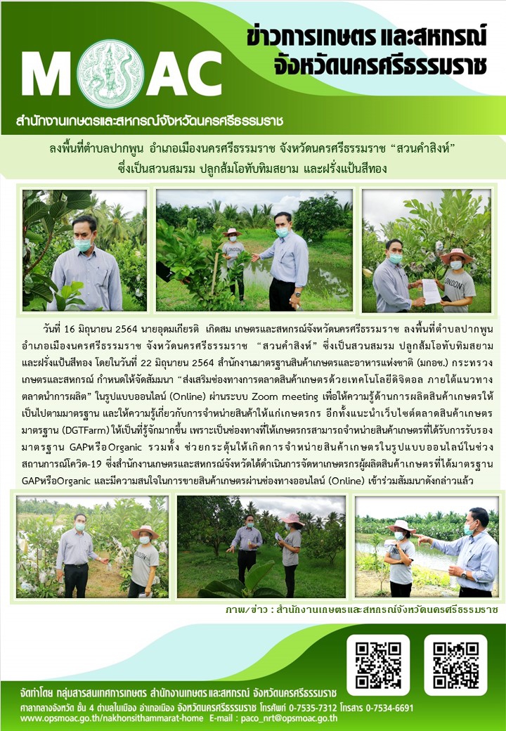 ลงพื้นที่ตำบลปากพูน