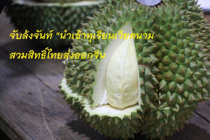 จับลังเมืองจันท์นำเข้าทุเรียนเวียนนามสวมสิทธิ์ไทยส่งออกจีน