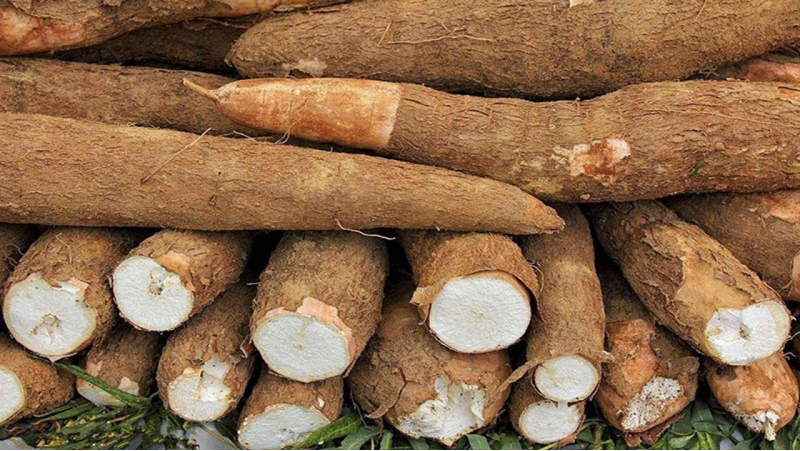 GACCประกาศขึ้นทะเบียนบัญชีรายชื่อผู้ส่งออกผลิตภัณฑ์มันสำปะหลังและแป้งมันสำปะหลังส่งออกของไทยมายังจีน