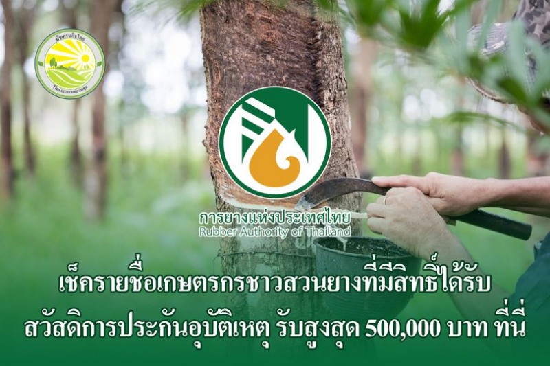 เช็ครายชื่อเกษตรกรชาวสวนยางที่มีสิทธิ์ได้รับสวัสดิการประกันอุบัติเหตุ