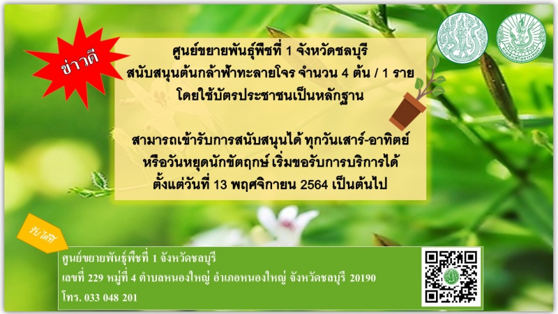 ประชาสัมพันธ์การสนับสนุนต้นกล้าฟ้าทะลายโจร