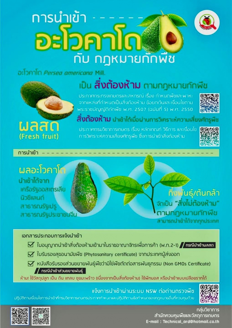 การนำเข้าอะโวคาโด กับ กฎหมายกักพืช