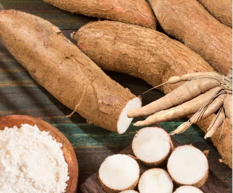 GACCประกาศขึ้นทะเบียนบัญชีรายชื่อผู้ส่งออกผลิตภัณฑ์มันสำปะหลังและแป้งมันสำปะหลังส่งออกจีนเพิ่มเติม