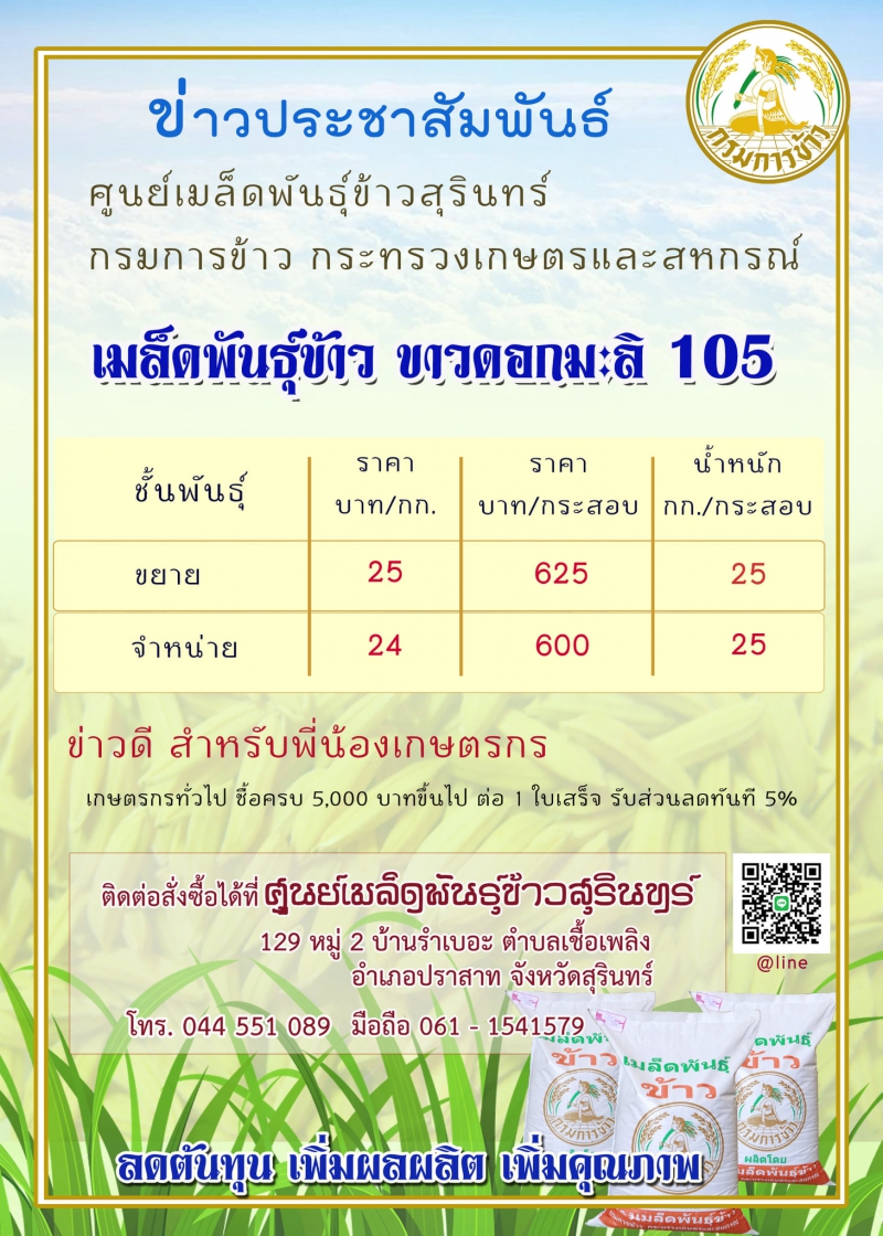 เปิดจำหน่ายเมล็ดพันธุ์ข้าวขาวดอกมะลิ 105
