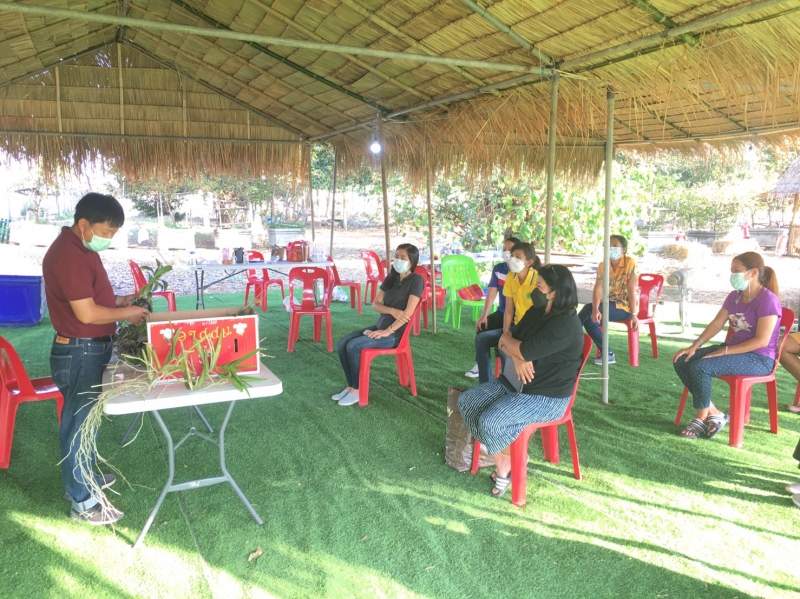 จัดอบรมการปลูกกล้วยไม้และการขยายพันธุ์