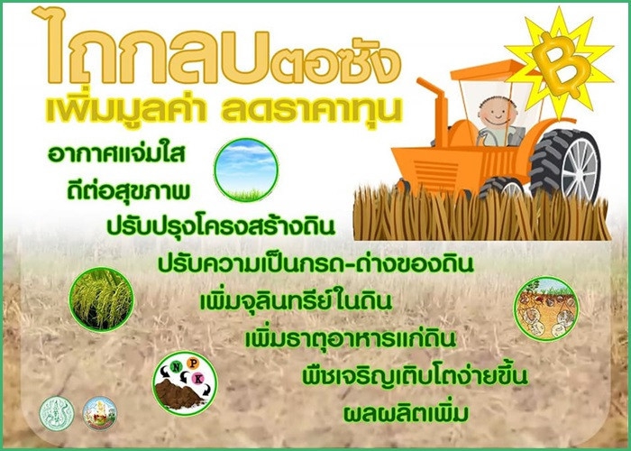 ไถกลบตอซัง เพิ่มมูลค่า ลดราคาทุน