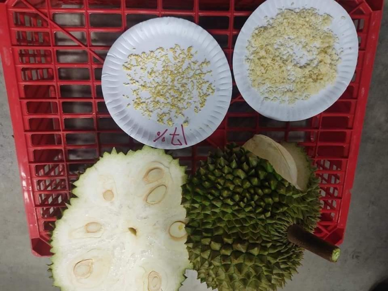 สุ่มตรวจทุเรียนจันท์