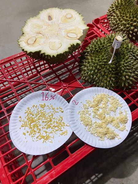ขั้นตอนการปฏิบัติในการแจ้งความประสงค์จะเก็บเกี่ยวและตรวจเปอร์เซนต์