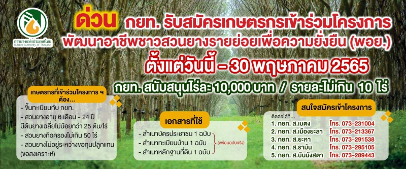 กยท.รับสมัครเกษตรกรเข้าร่วมโครงการพัฒนาอาชีพชาวสวนยางรายย่อยเพื่อความยั่งยืน