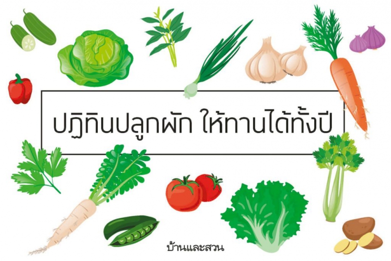 ปฏิทินปลูกผัก เดือนไหนปลูกอะไร กินอะไร