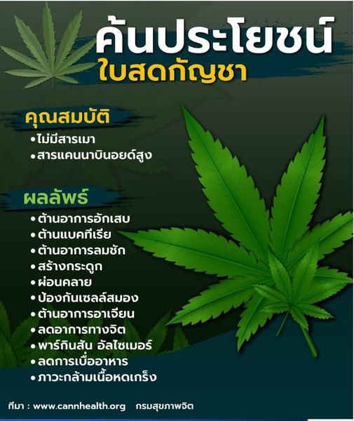 ประโยชน์ของกัญชา